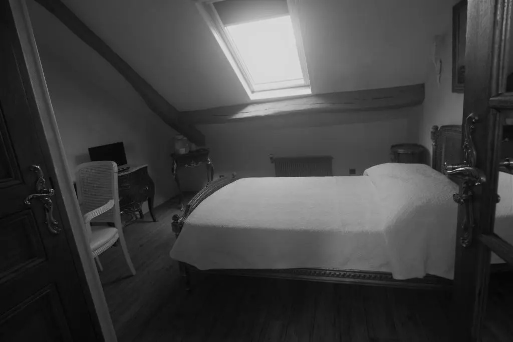 Hôtel Dandy - Chambres
