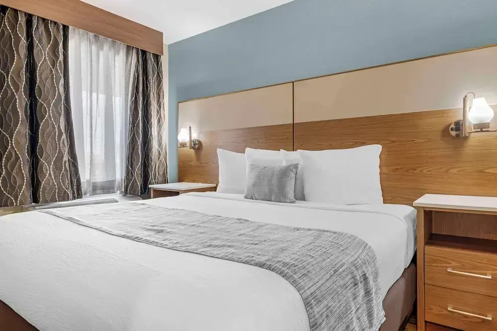 Pet Friendly Suite