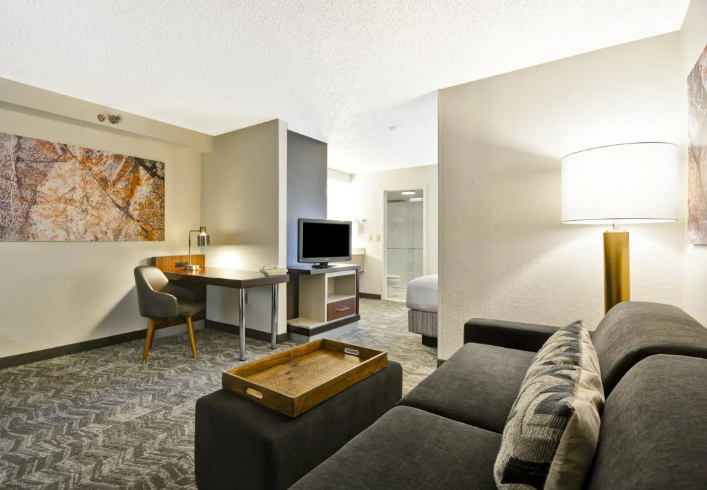 SpringHill Suites by Marriott San Antonio Medical Center/NW - Général