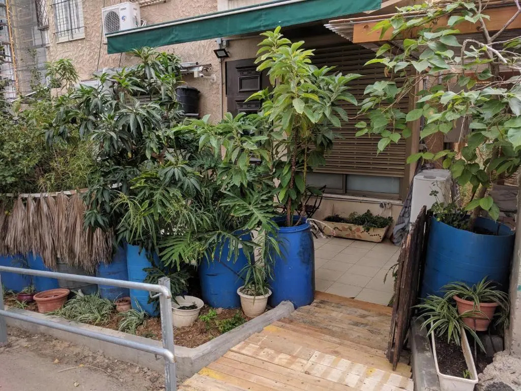 Ahuzat Shaul - Apartment