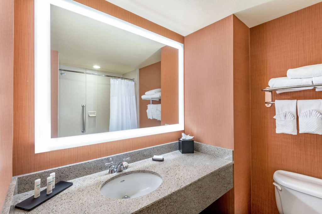 Embassy Suites by Hilton St. Louis St. Charles - Général