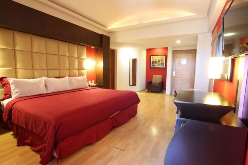Hotel Colon Plaza Business Class - Général
