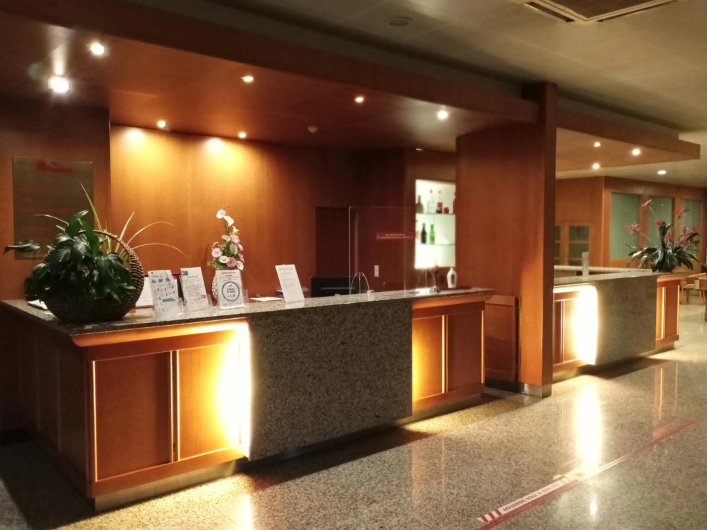 Palace Hotel & Spa Monte Rio - Général