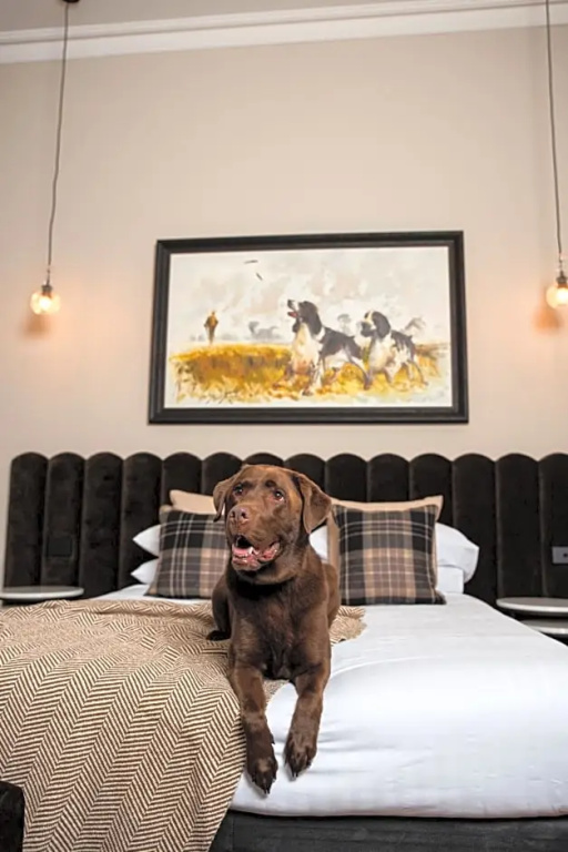 Mount Gambier Hotel - Chambres