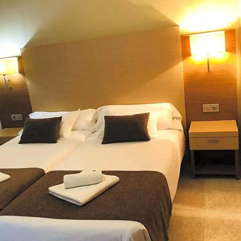 Standard Double room (twin beds)