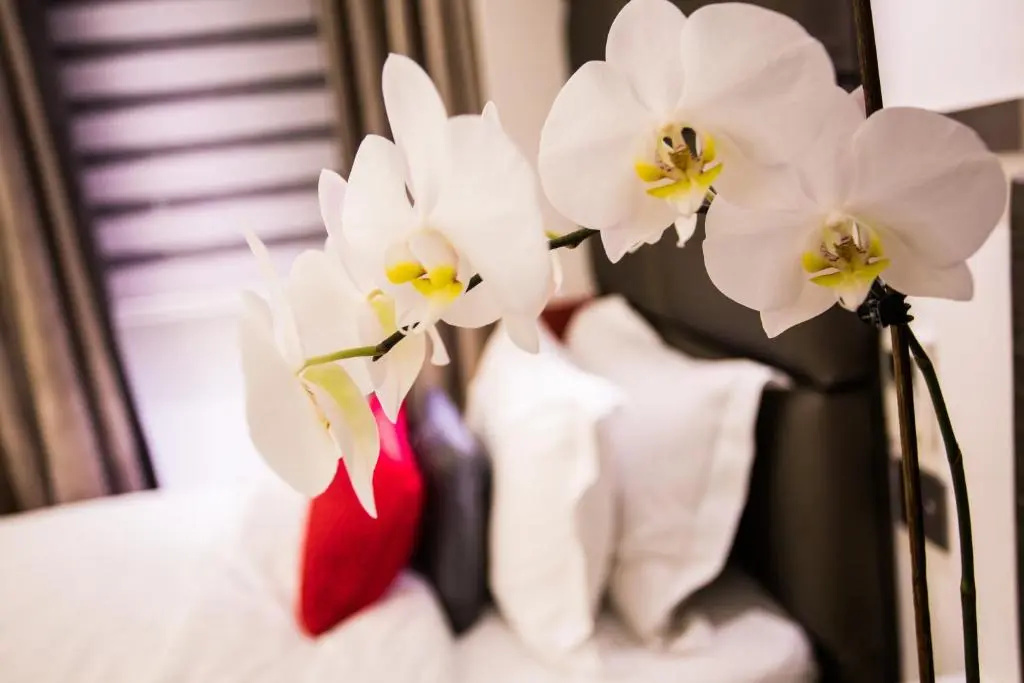 Henley House Hotel - Chambres
