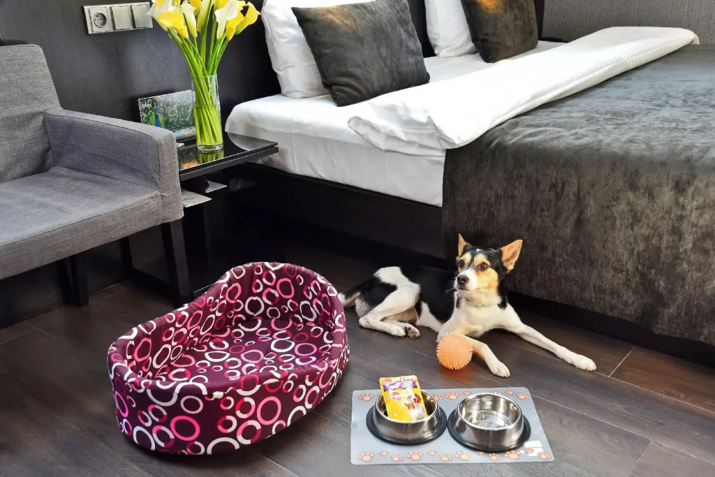 Hotel photo 36