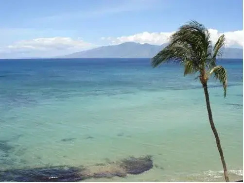 Kaleialoha Resort Condominium