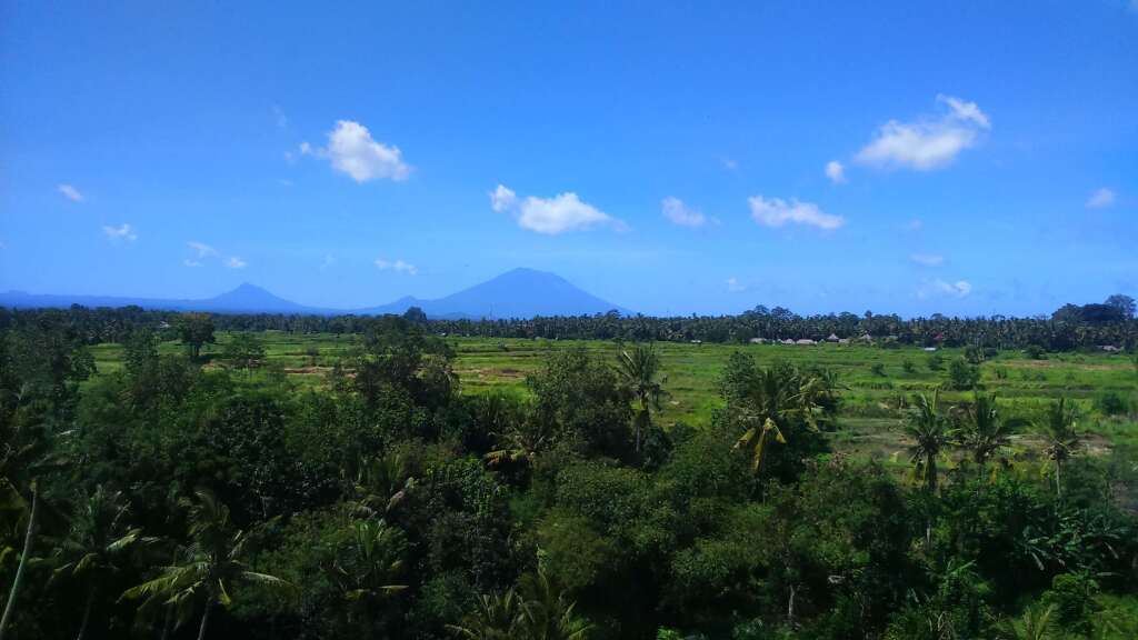 Seres Springs Resort & Spa Ubud