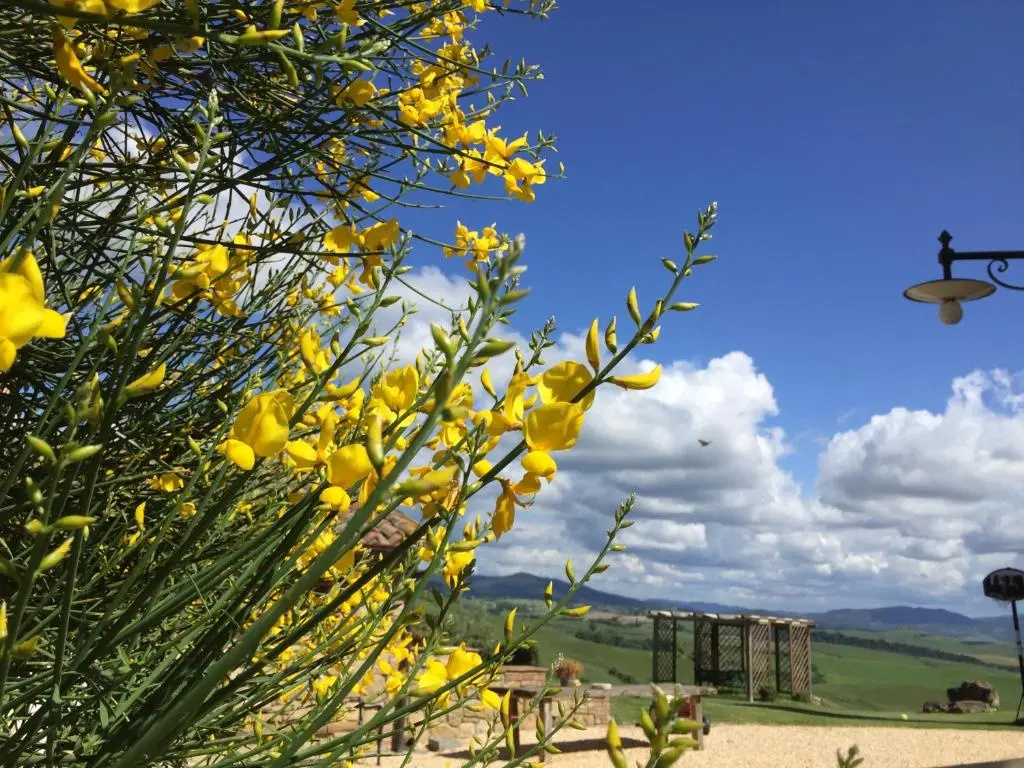 Locazione turistica Agriturismo Casallario (VOL154) - Chambres