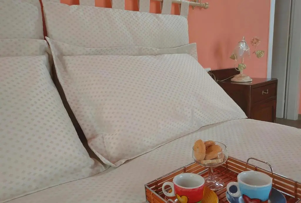 Deluxe Double room (full double bed)