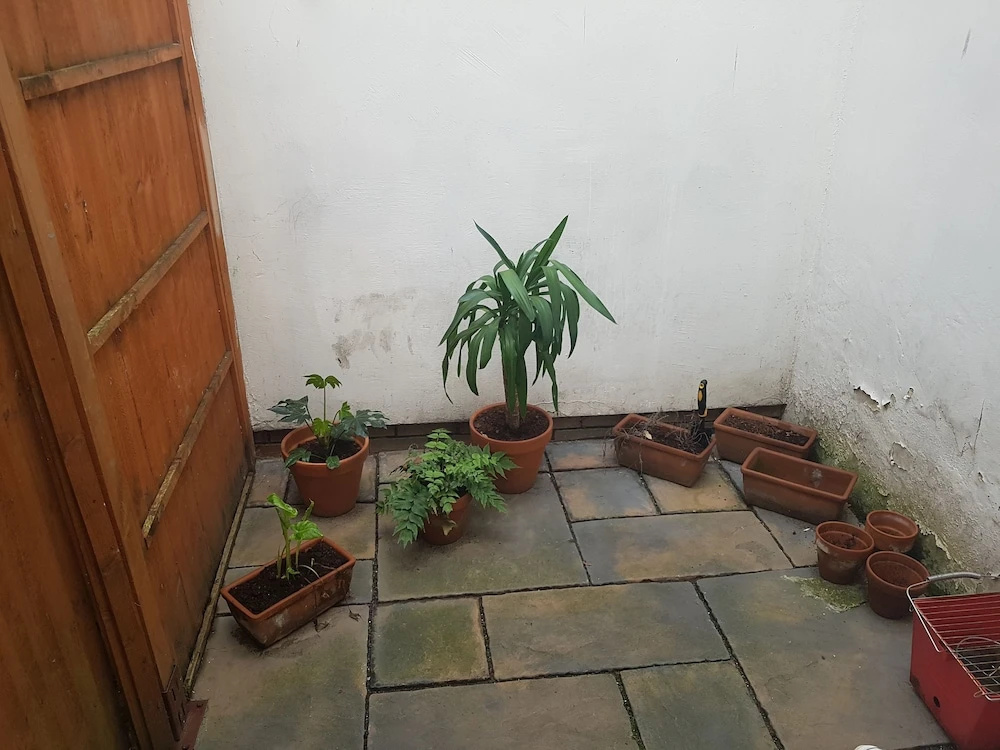 Studio Flat in Stoke Newington High Street