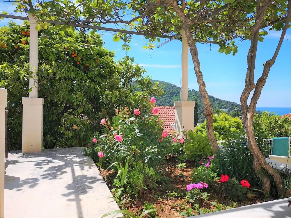 Beautiful Sea View Apartments