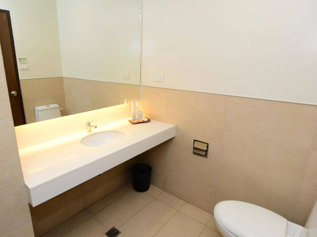 Ever O Business Hotel - Général