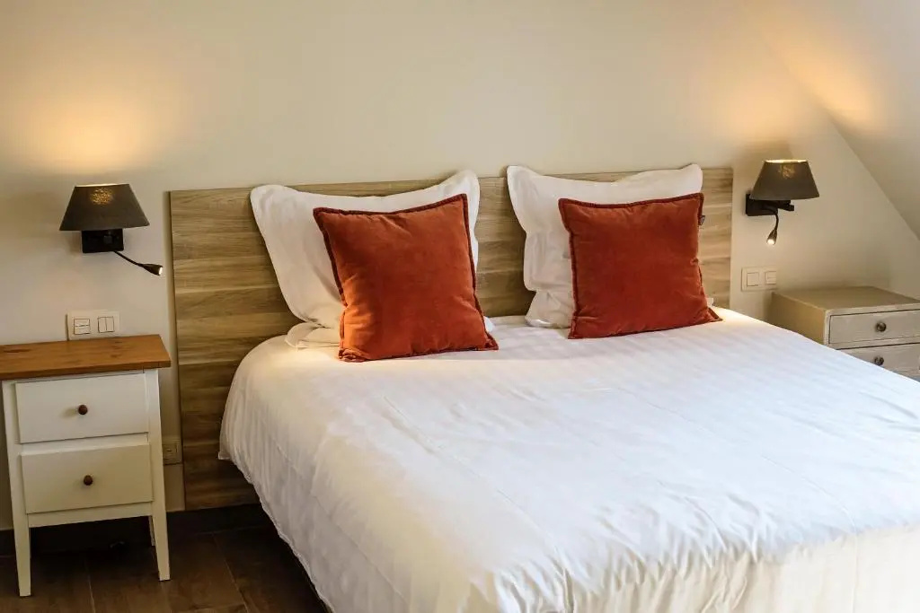 Standard Double room with garden view (full double bed)