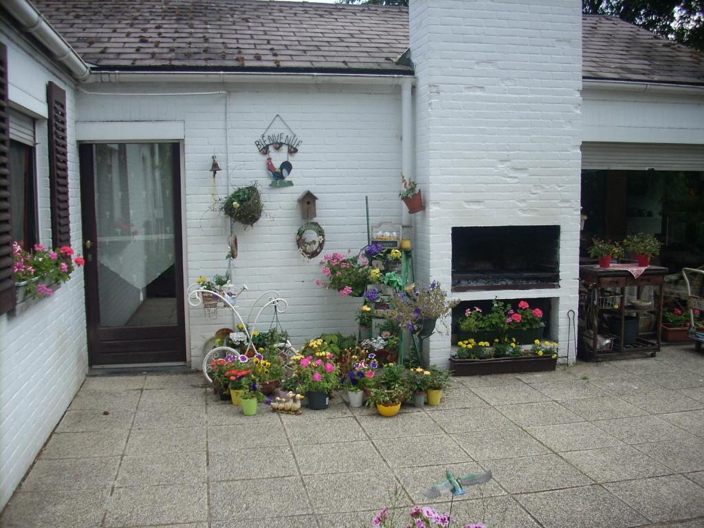 Image 10
