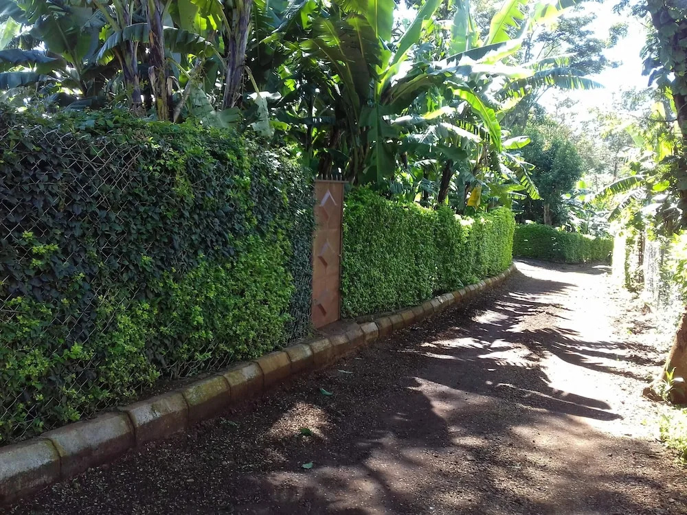 Doctor Se Temu Rest House