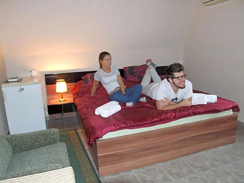 Apartman Hotel Srvr - Chambres