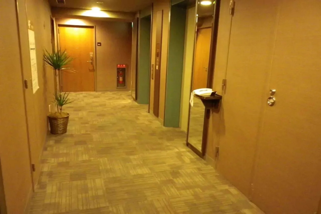 Dormy Inn Akihabara Hot Spring - Général
