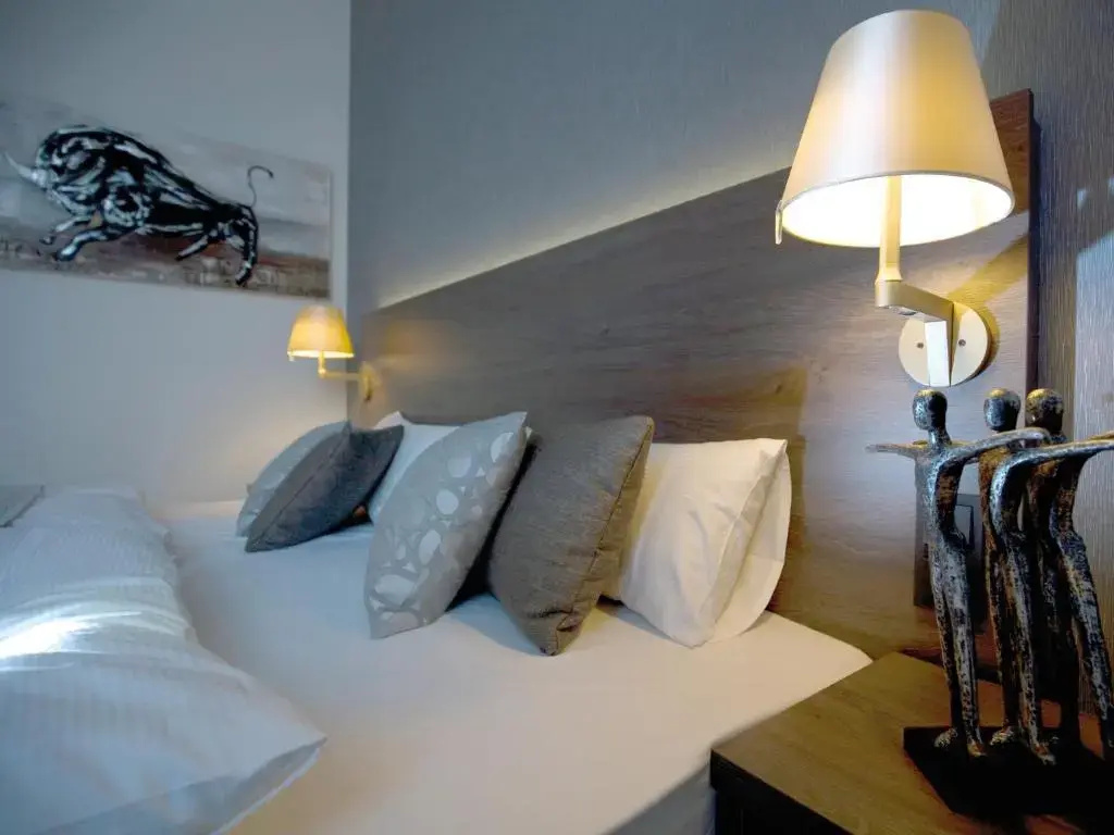 Comfort Double room (full double bed)