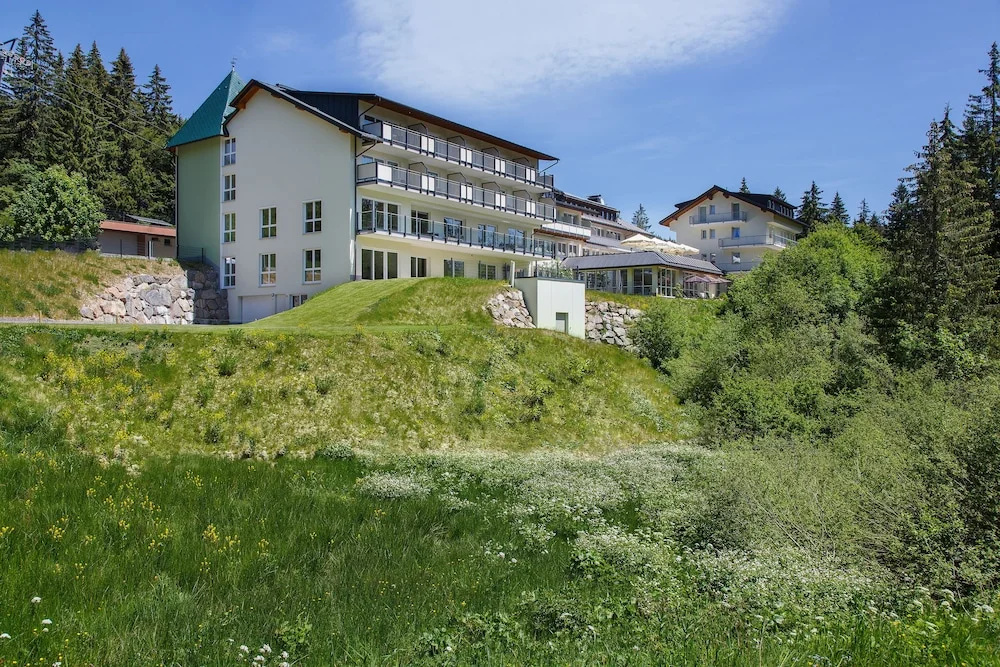 Belchenhotel Jägerstüble - Général