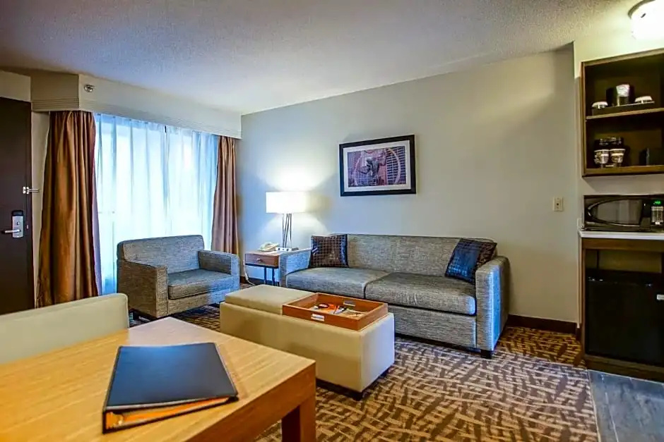 Ramada by Wyndham Southfield - Chambres