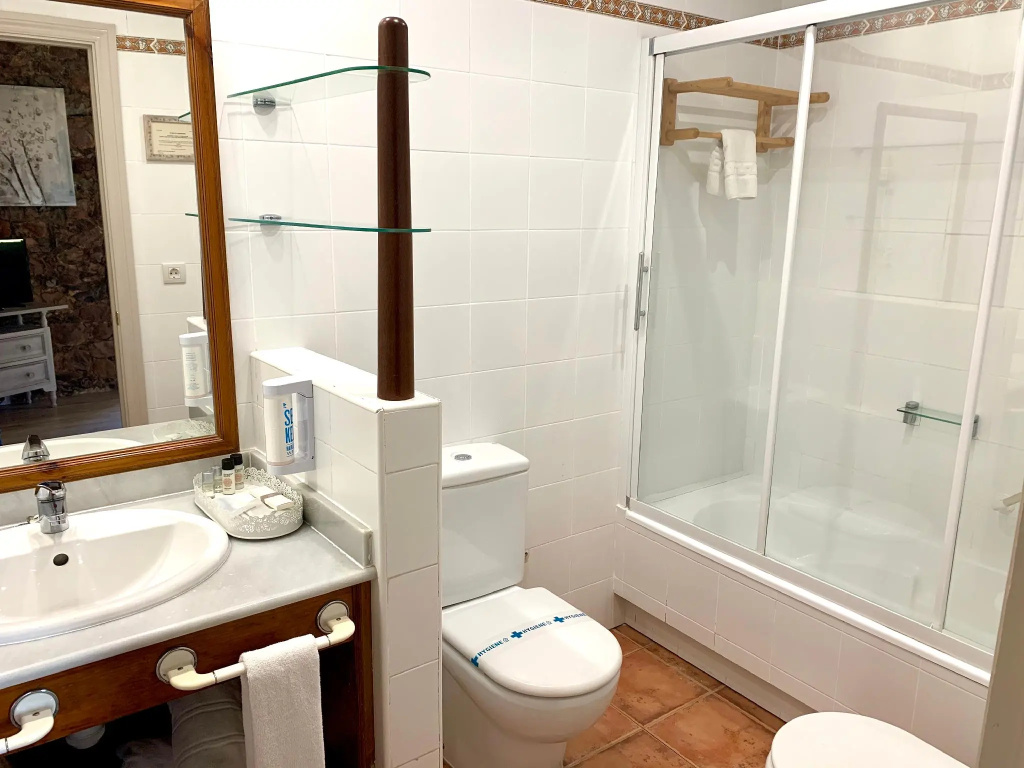 Standard Double room (full double bed)