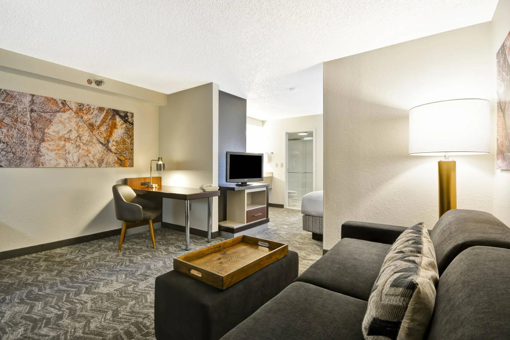 SpringHill Suites by Marriott San Antonio Medical Center/NW - Chambres