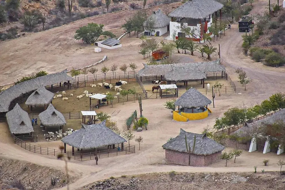 Hotel Casa Coronel — фото 4