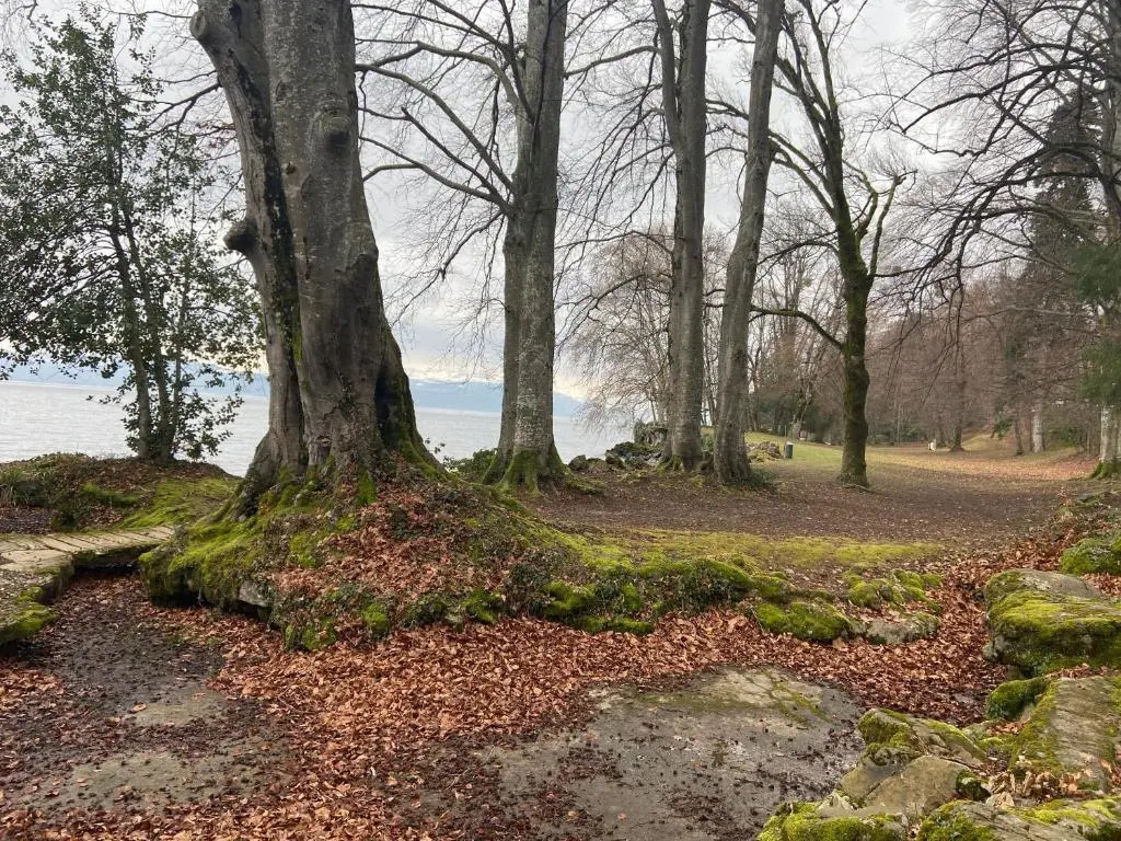 Bord de Lac,2 Chambres Superbe Vue Lac 5mn Evian