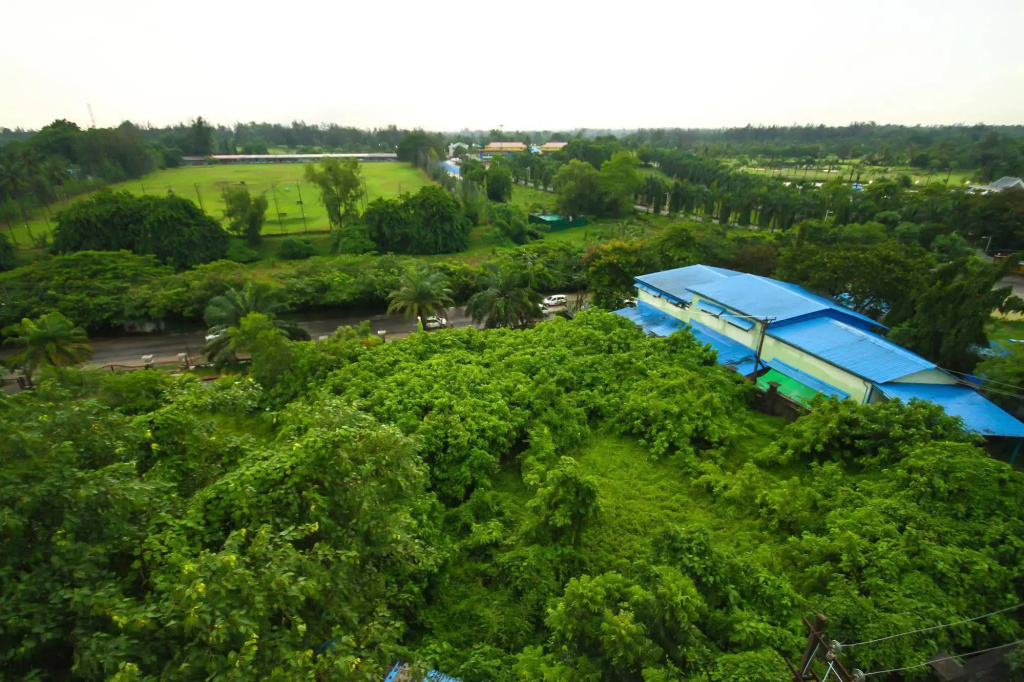 City Golf Resort Hotel - Général