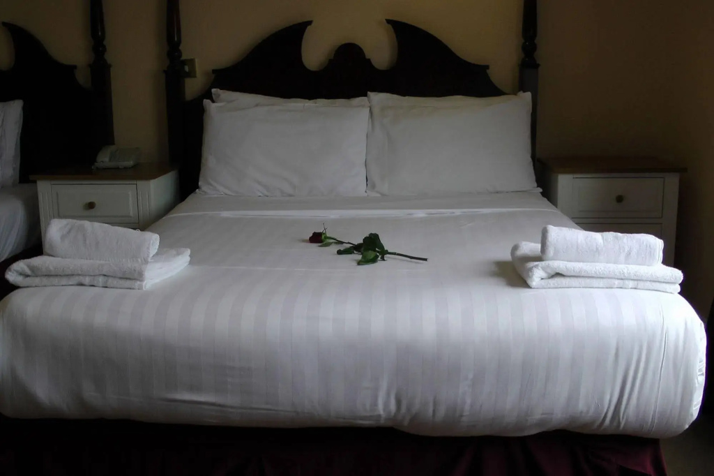 Shamrock Inn Hotel - Général
