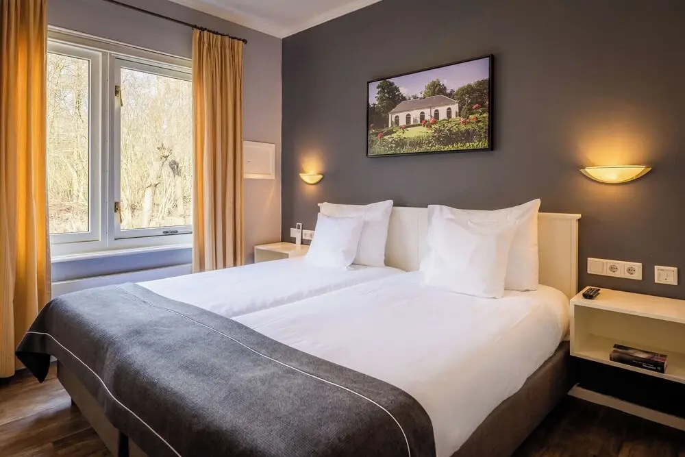 Deluxe Double room (twin beds)