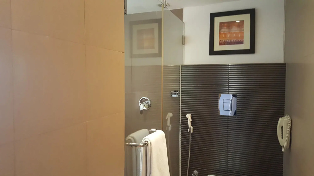 Royal Orchid Central, Vadodara - фото 25