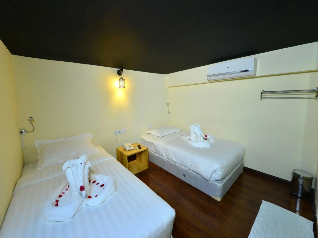 Standard Double room (twin beds)