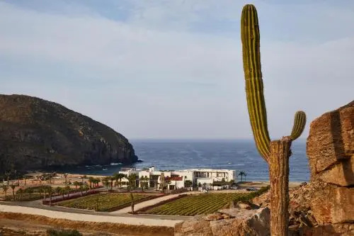 Beach & Waterfront
