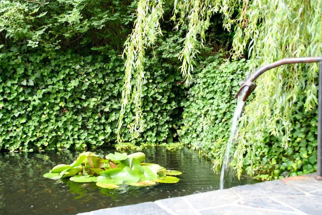 Hotel photo 24