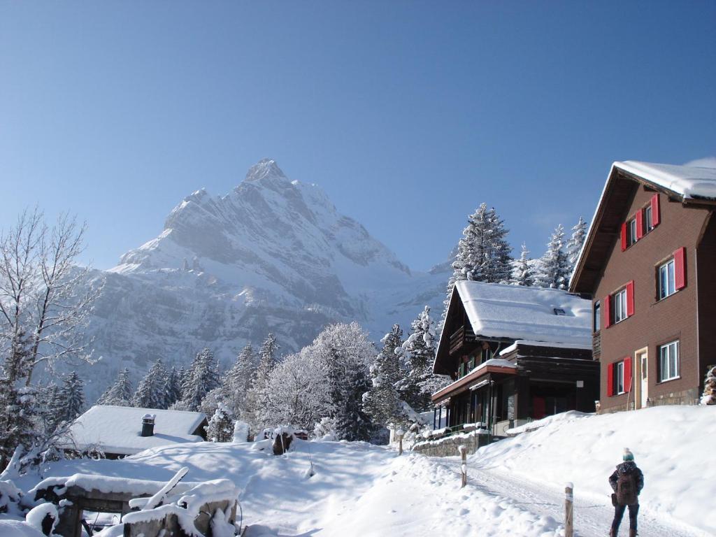 Adrenalin Backpackers Hostel by null
