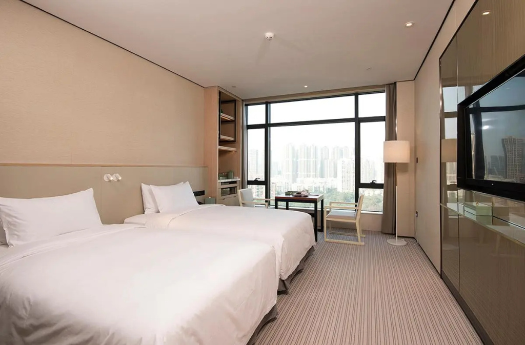 Deluxe Double room with lake view (twin beds)
