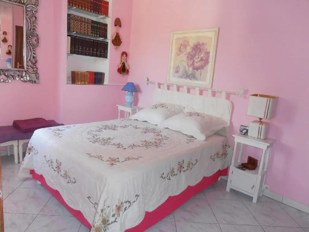 Standard Double room with mountain view (full double bed)