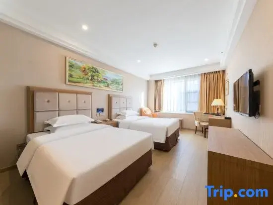 Deluxe Double room (twin beds)