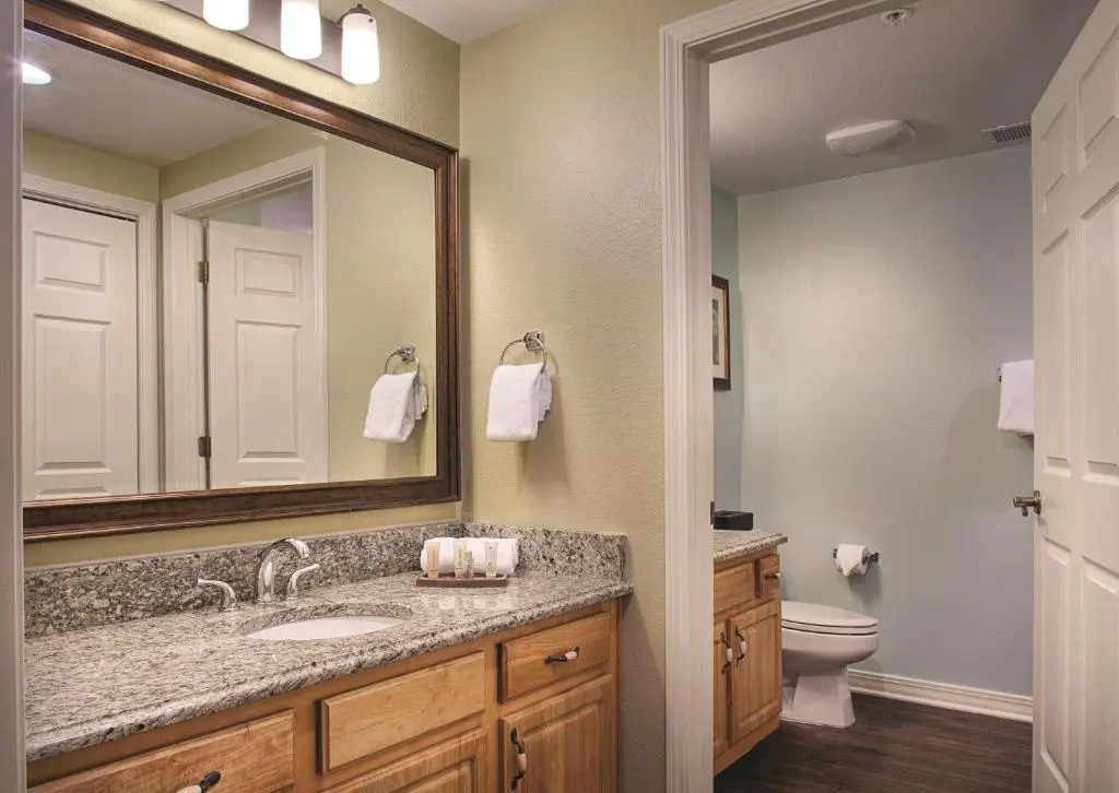 1 Bedroom Deluxe Suite
