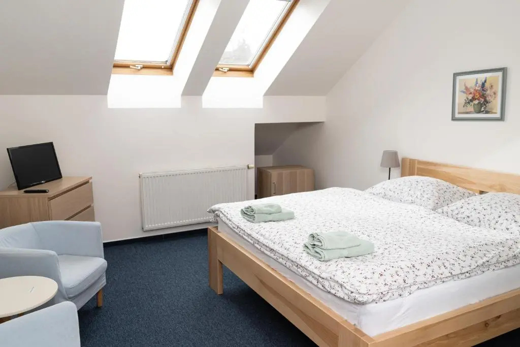Standard Double room (full double bed)