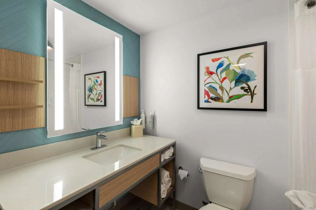 Hilton Garden Inn Atlanta East/Stonecrest - Chambres