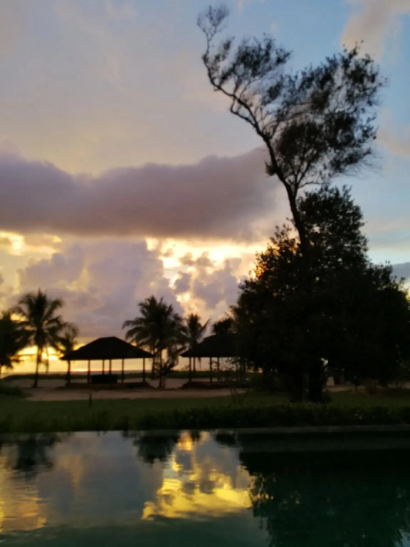 Tommy’s Place @ Tip of Borneo — фото 6