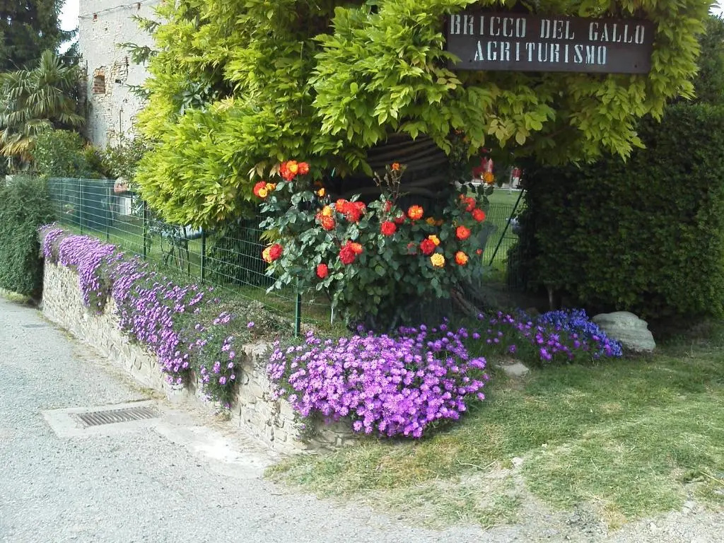 Bricco Del Gallo
