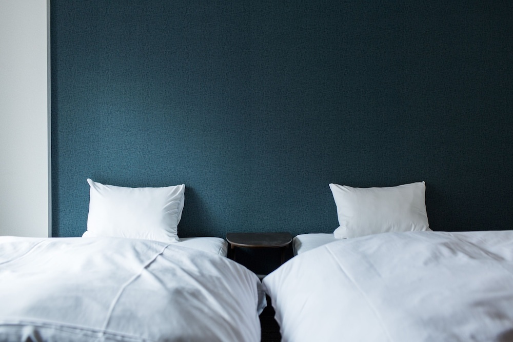 RAKU Hotel 사진 10