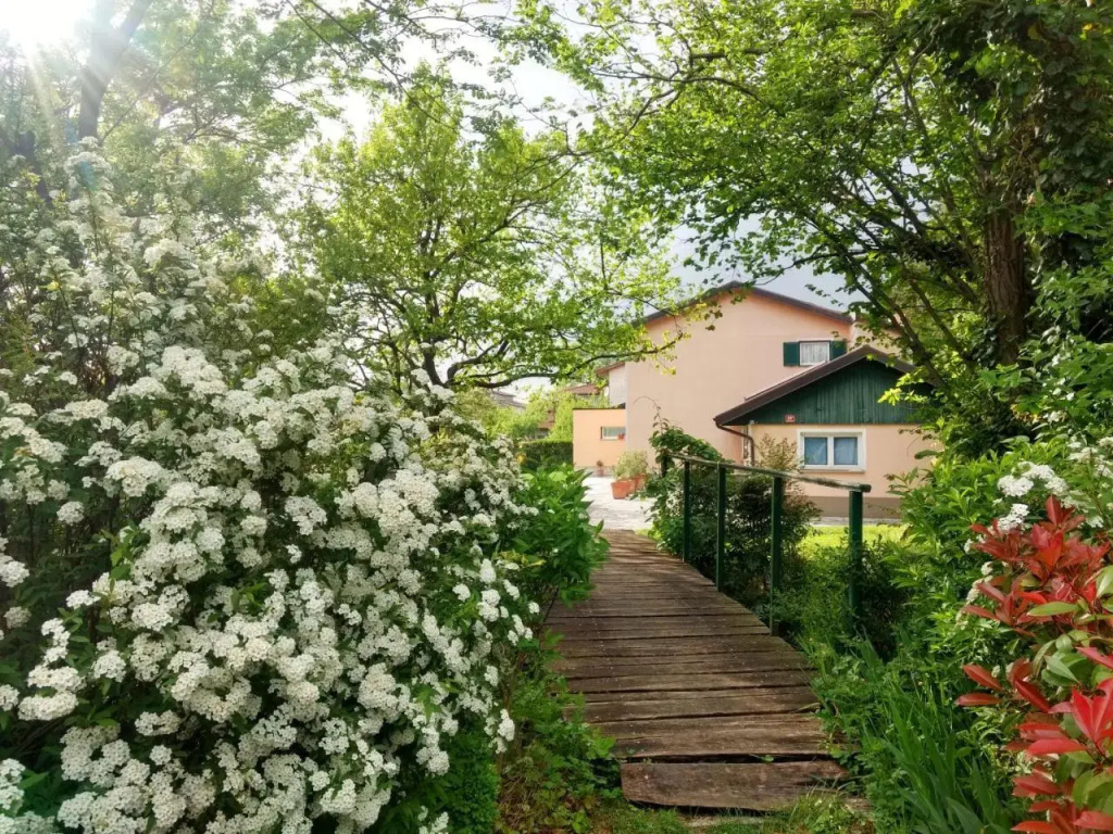 Apartment Otava