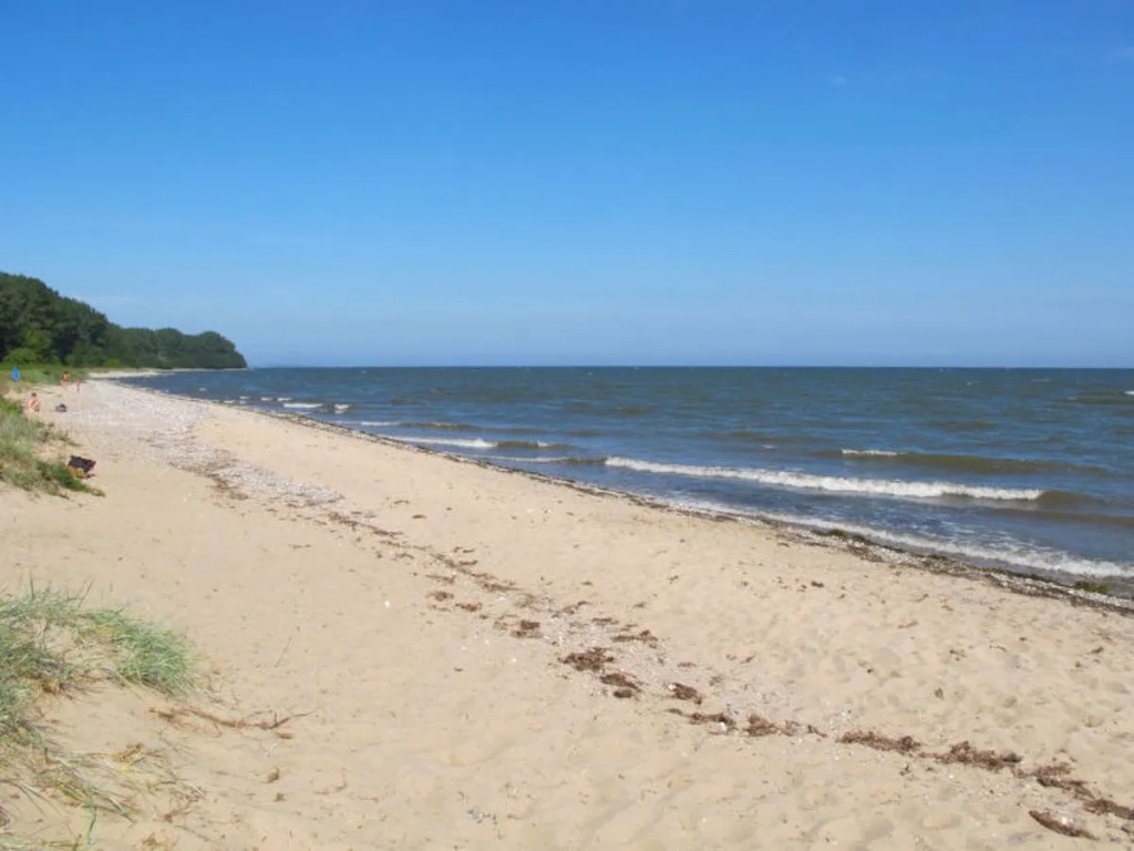 Beach & Waterfront