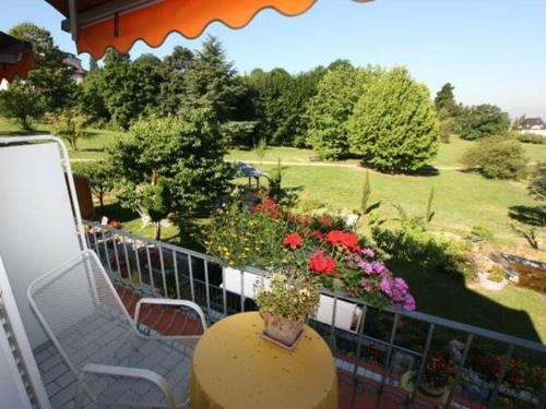 Balcony & Terrace